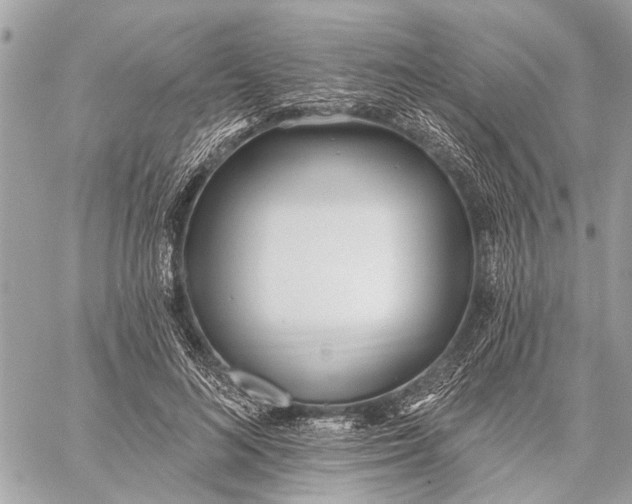 X0000059060692200510281633