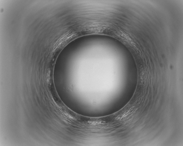 X0000059060693200510281633