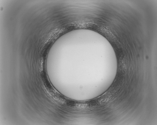 X0000059060694200510281633