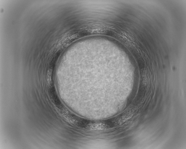 X0000059060695200510281633