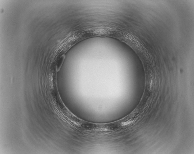 X0000059060696200510281633