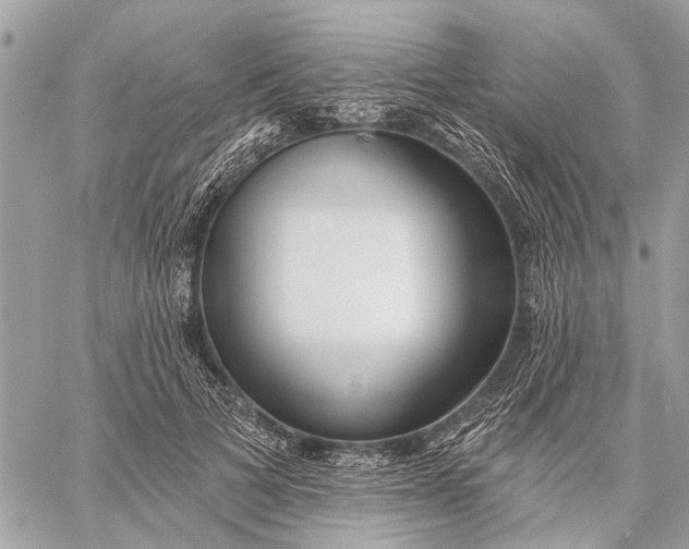 X0000059060697200510281633