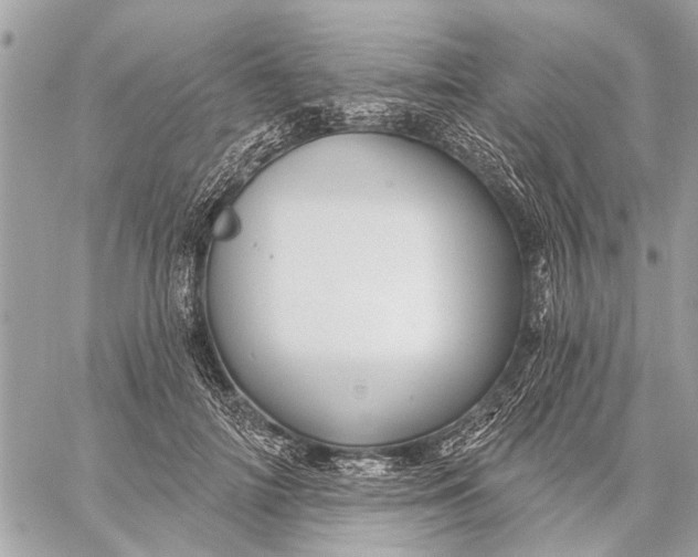 X0000059060698200510281633