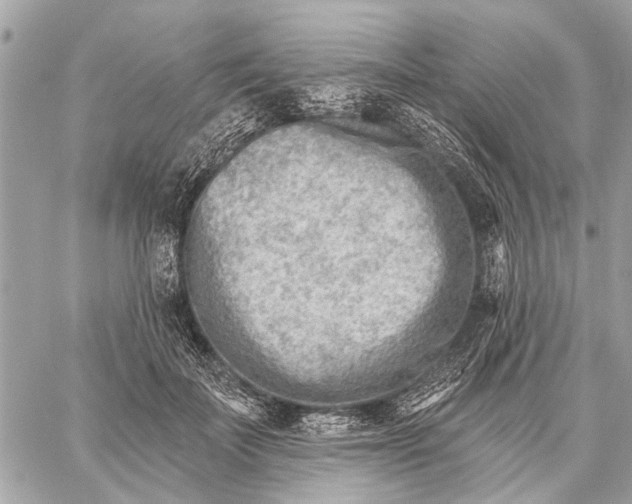 X0000059060699200510281633