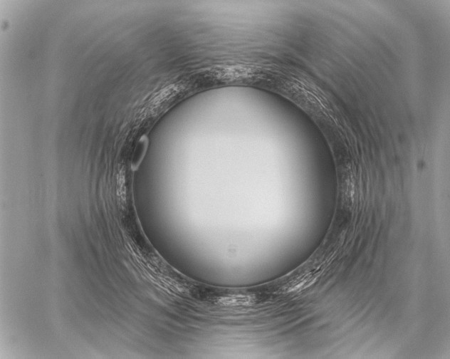 X0000059060700200510281633