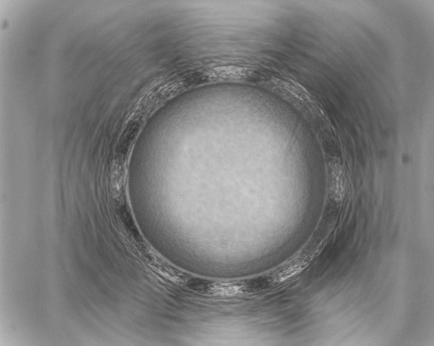 X0000059060701200510281633