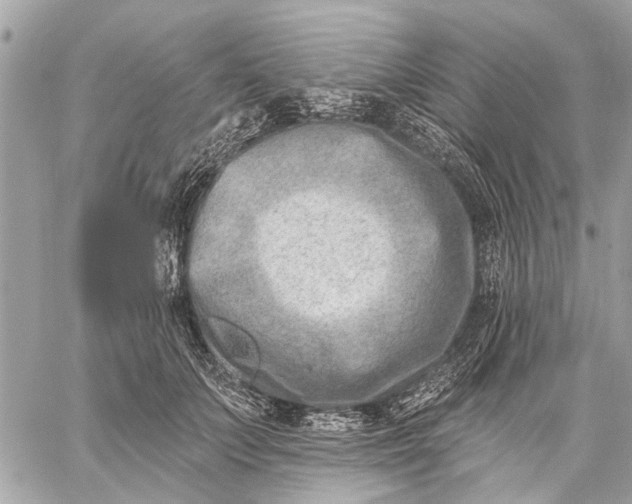 X0000059060703200510281633