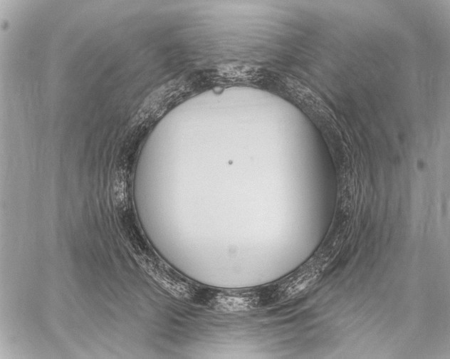 X0000059060706200510281633