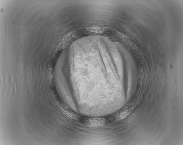 X0000059060707200510281633