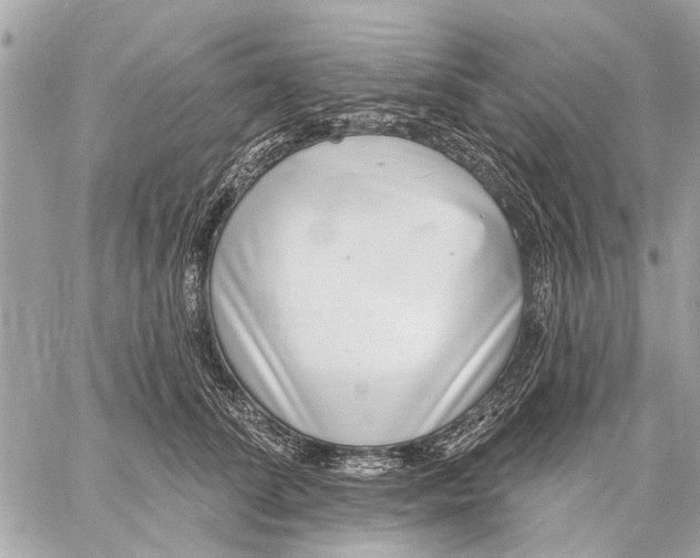 X0000059060708200510281633