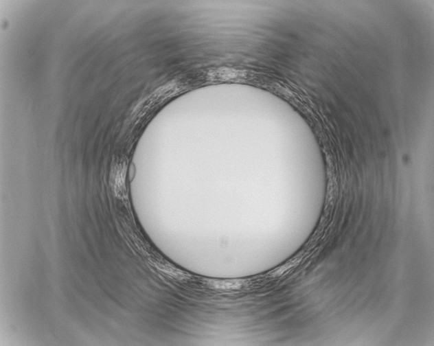 X0000059060709200510281633