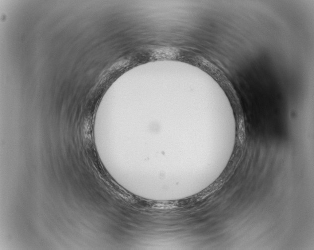 X0000059060714200510281632