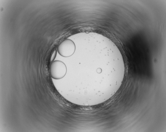 X0000059060715200510281632