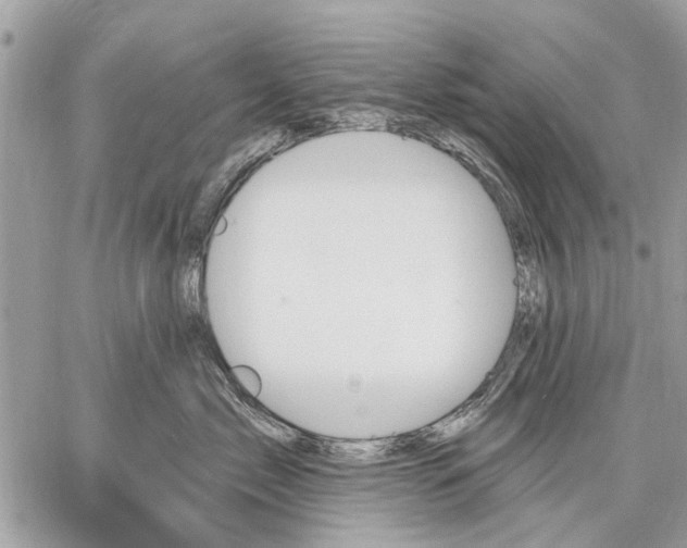 X0000059060717200510281632