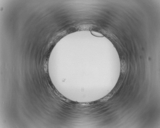 X0000059060718200510281632