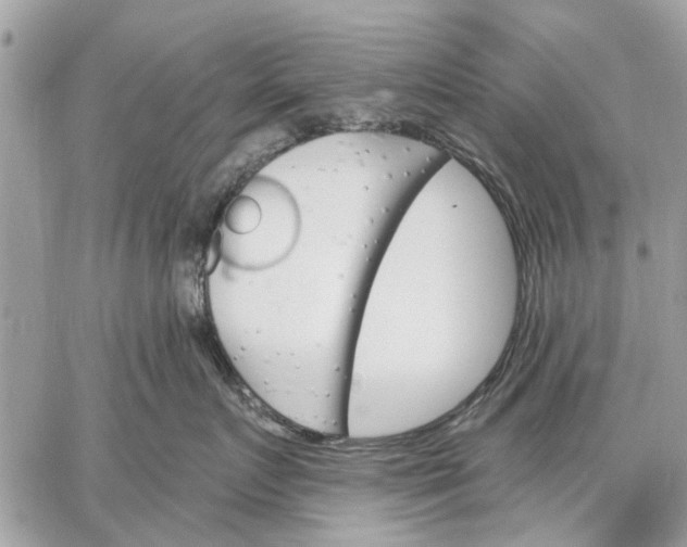 X0000059060719200510281632