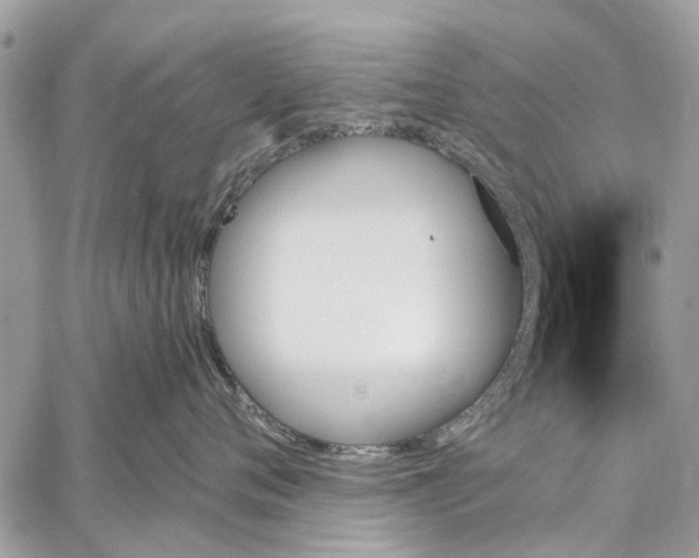 X0000059060720200510281632