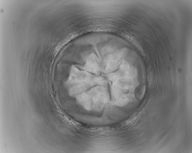 X0000059060721200510281632