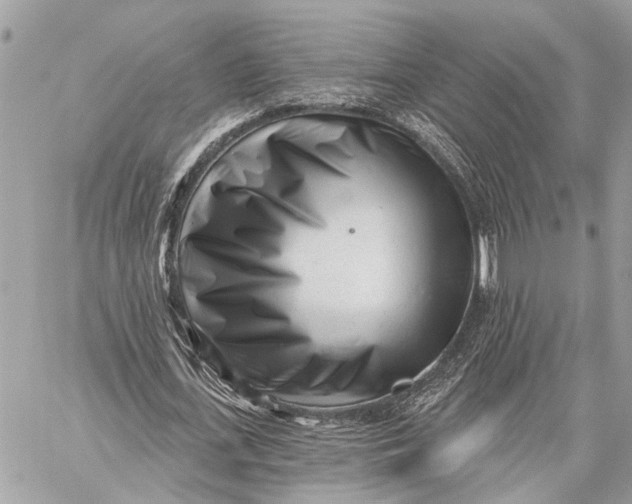 X0000059060723200510281632