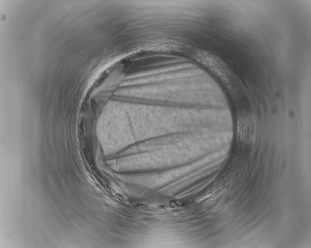 X0000059060724200510281632