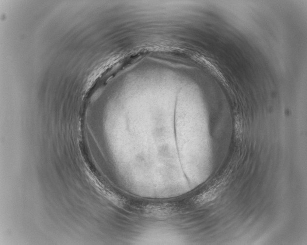 X0000059060725200510281632