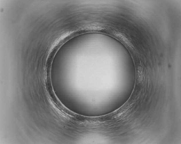 X0000059060726200510281632