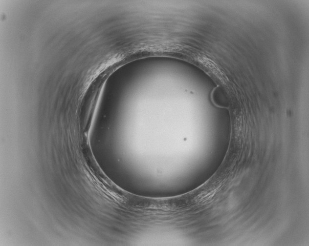 X0000059060727200510281632