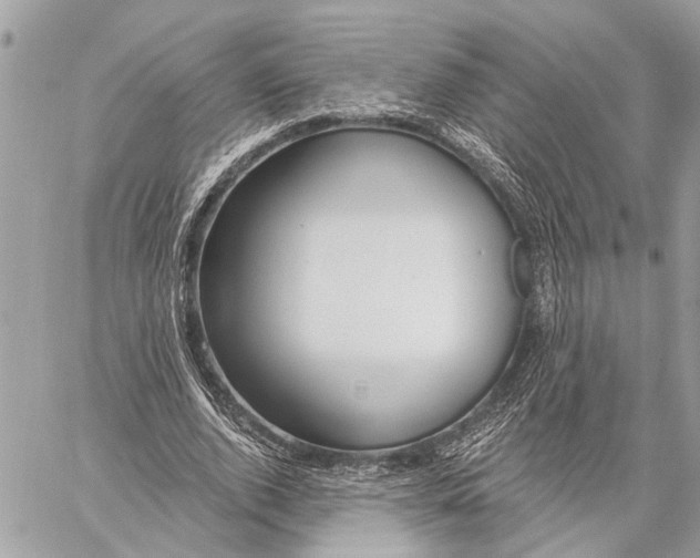 X0000059060728200510281632