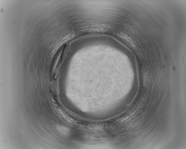 X0000059060729200510281632