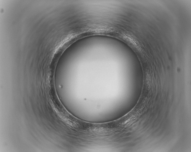 X0000059060730200510281632