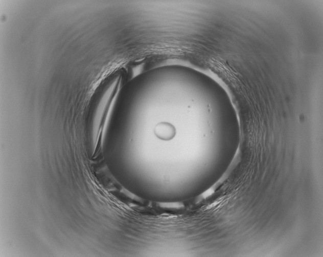 X0000059060731200510281632