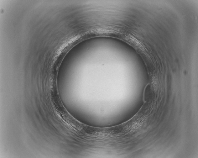 X0000059060732200510281632