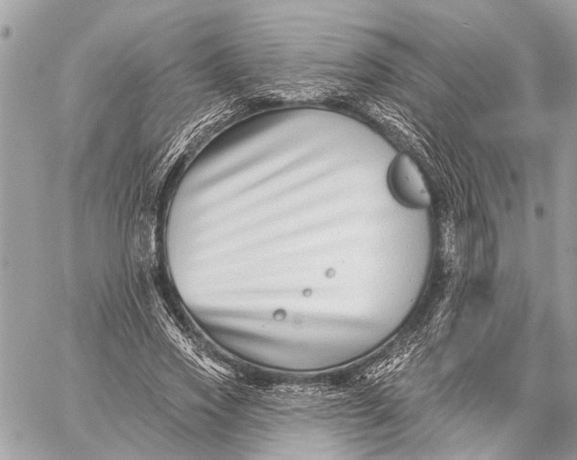 X0000059060733200510281632