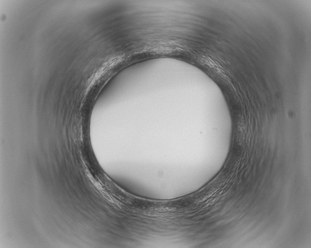 X0000059060734200510281632