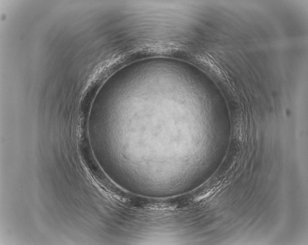 X0000059060736200510281632