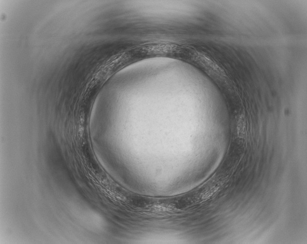 X0000059060737200510281632