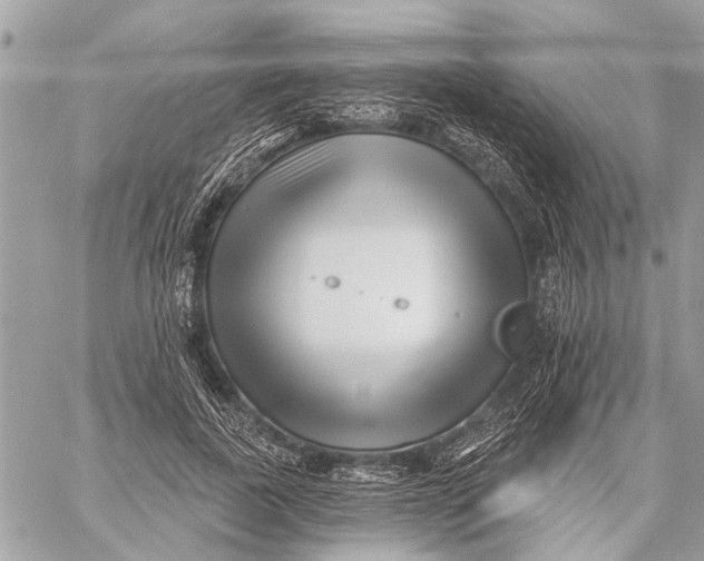 X0000059060739200510281632