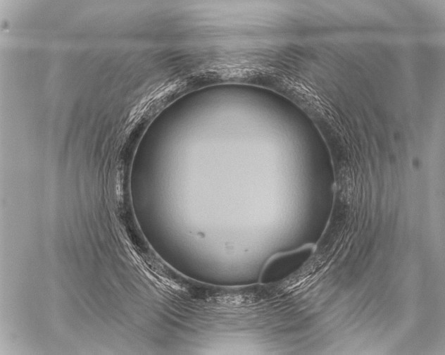 X0000059060740200510281632