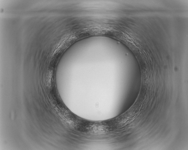 X0000059060742200510281632