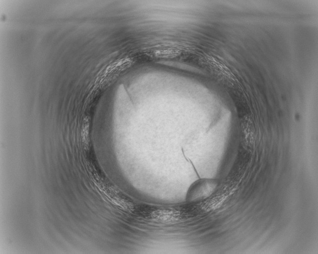 X0000059060745200510281632