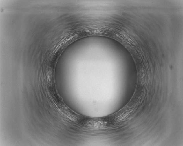 X0000059060747200510281632