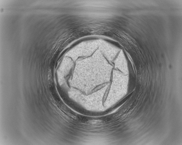 X0000059060748200510281632