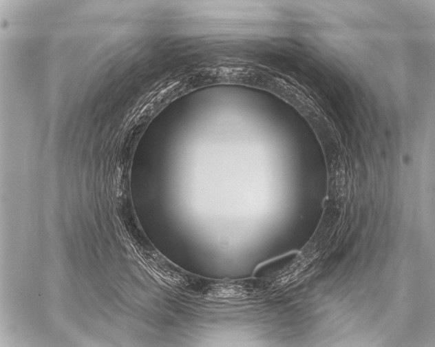 X0000059060750200510281632