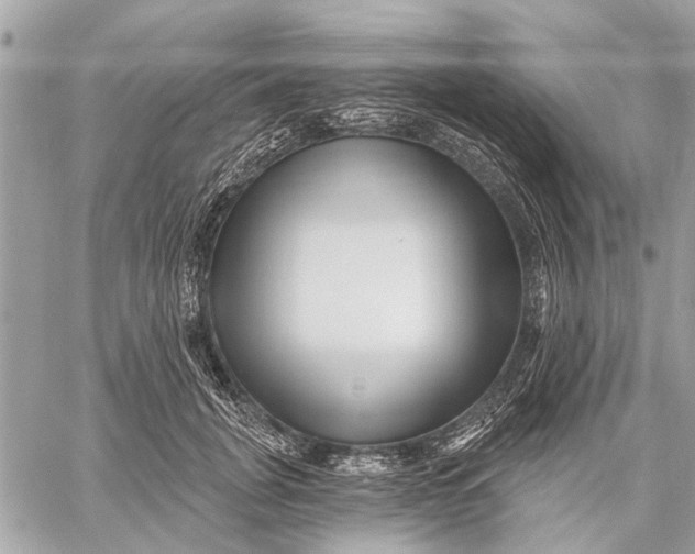 X0000059060751200510281632