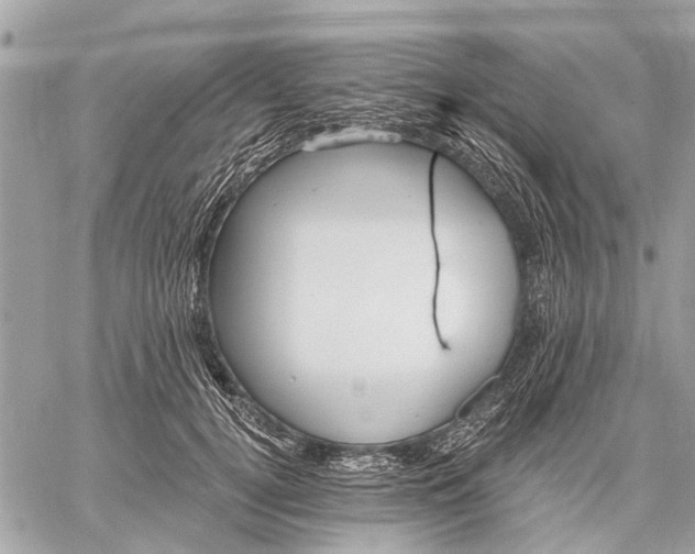 X0000059060752200510281632