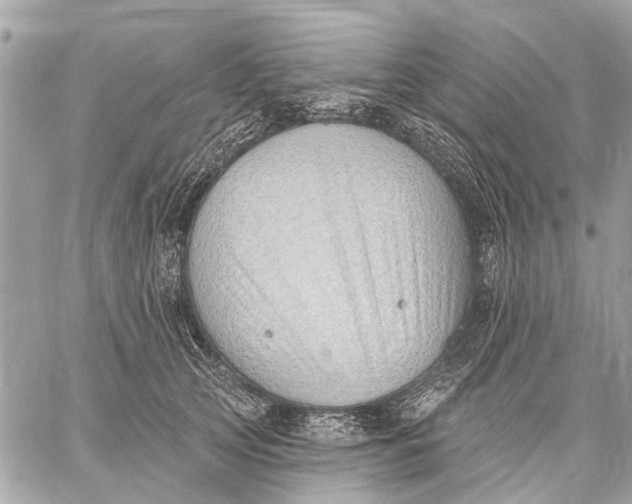 X0000059060753200510281632