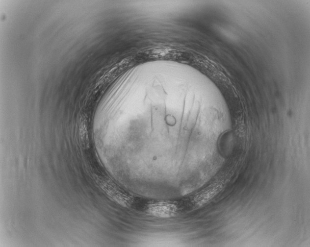 X0000059060754200510281632