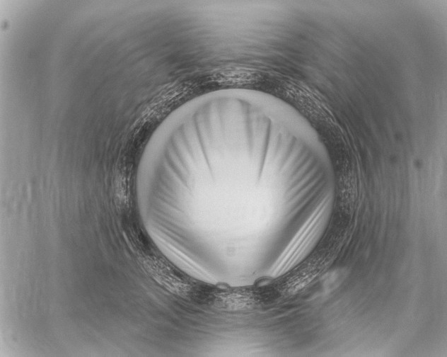 X0000059060755200510281632