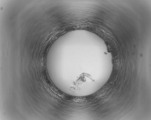 X0000059060756200510281632