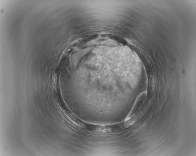 X0000059060760200510281632